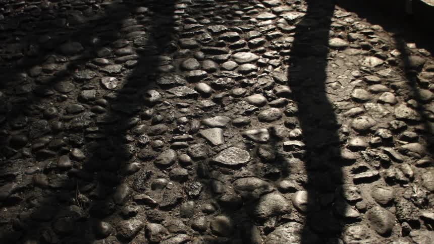 Asphalt on a neighborhood street during the day
