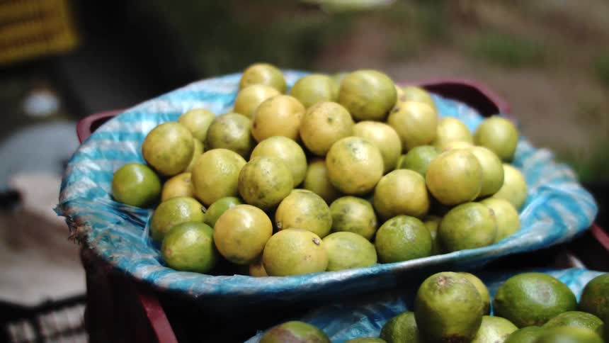 Small green and yellowish fruits on a blue plate