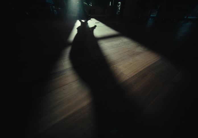 A wooden floor with one part dark and the other being illuminated by sunlight and a person passes by and makes a shadow