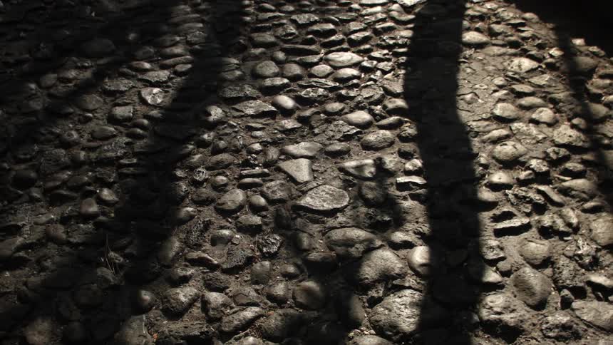 Shadow cast on the cobblestone road