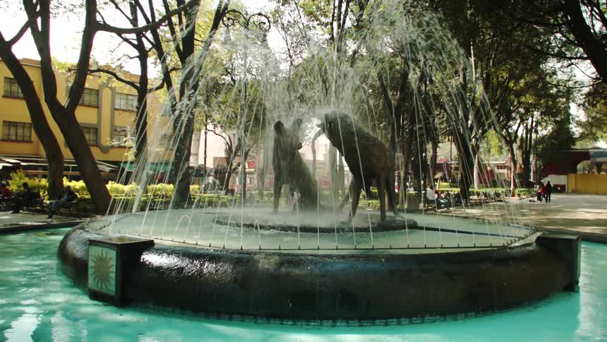 Coyoacan borough in mexico city
