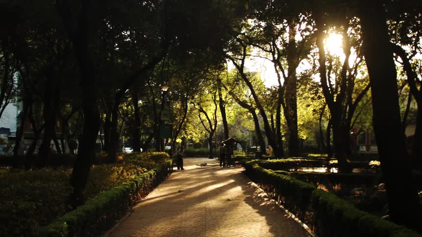People with animals walking in a forest