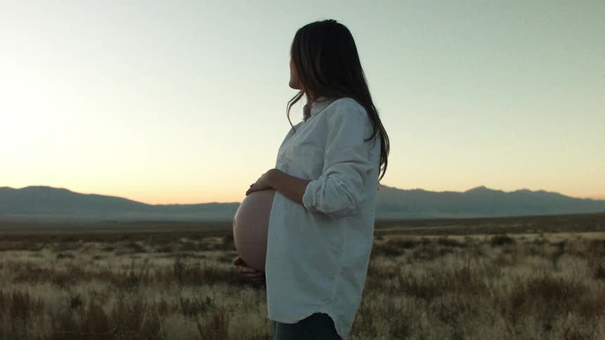 A pregnant woman in a meadow during sunset