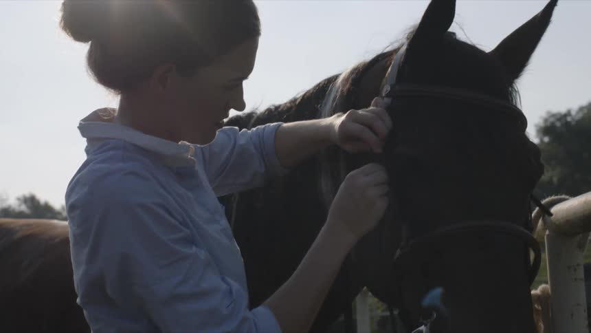 A young woman adjusts a harness on a horses head