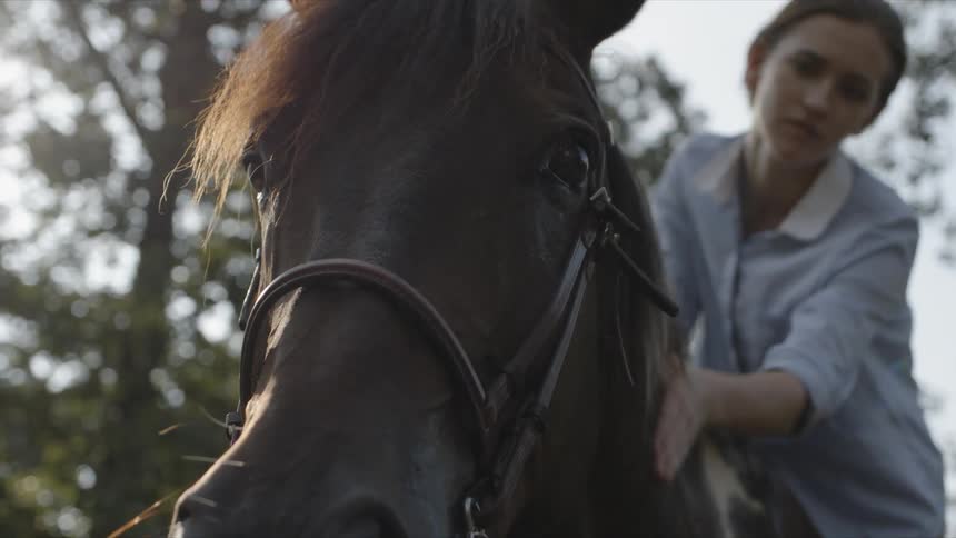 A woman pats her horses neck