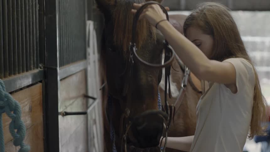 A young woman places a harness on a horses head