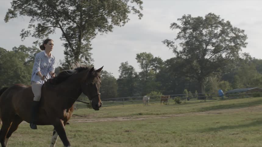 A woman rides a trotting horse