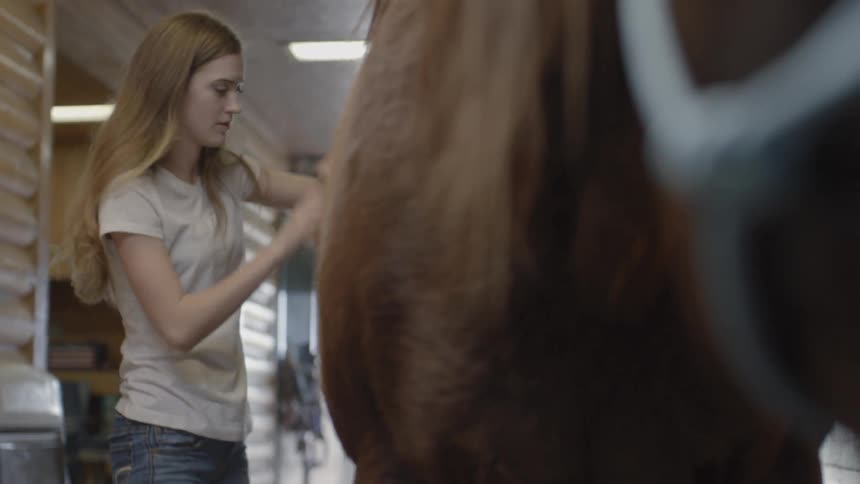 Woman brushes a horse in a stable