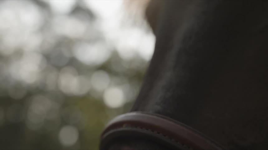 A horse stares and blinks its eye while wearing a harness on its head