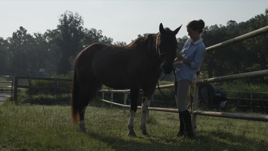 A woman adjusts a harness on a horses head