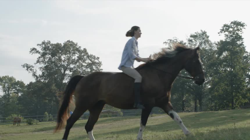 Woman rides horse through a grassy field