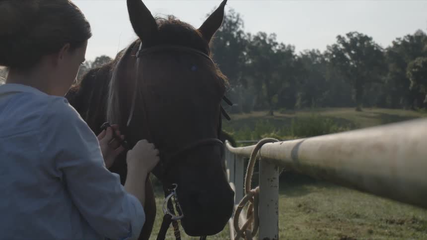 A woman secures a harness on a horse
