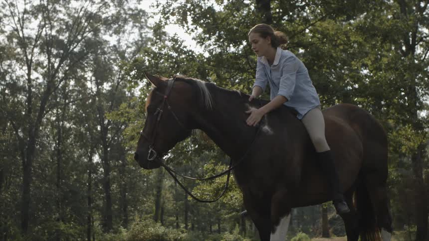 Woman sitting on a horse and petting it on the neck