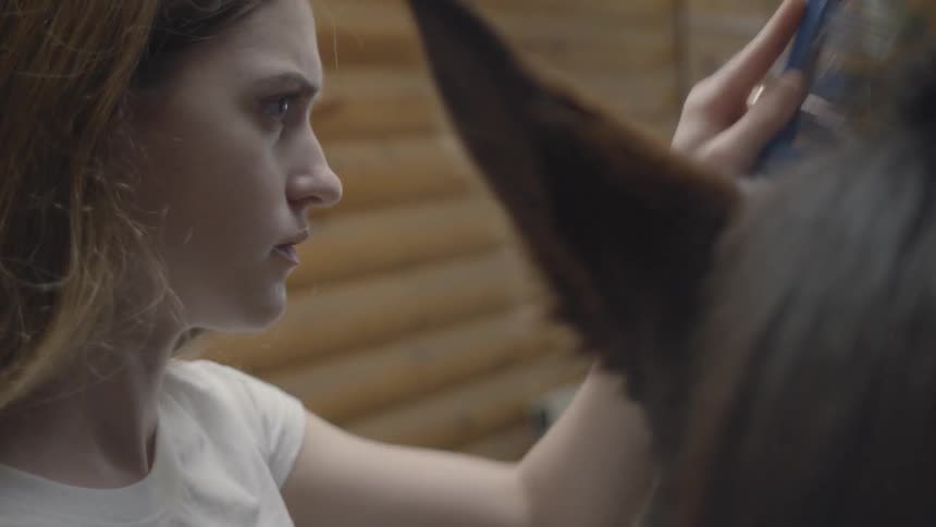 A young woman brushes a horses mane