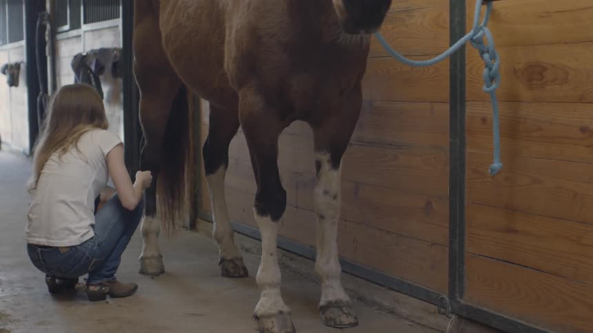A girl brushes down a horses leg as it stands in a barn