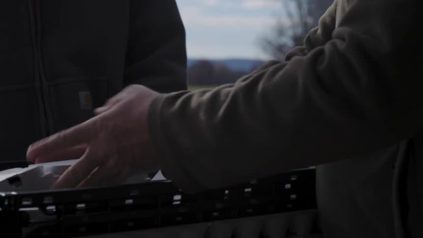 Men are speaking while placing cartons of eggs into a crate
