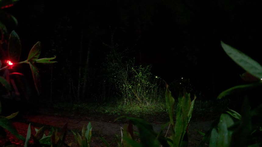 A person riding a bicycle outdoors at night