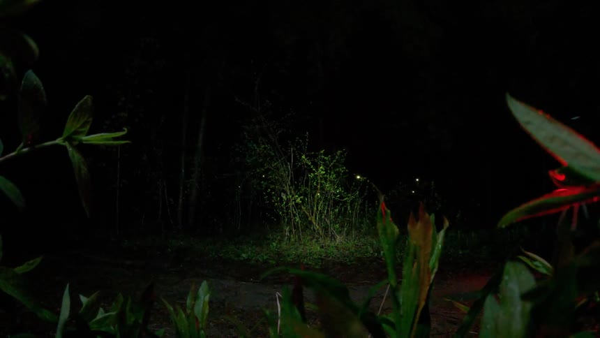 A person riding a bicycle on a deserted road in nature at night
