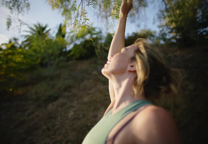 A woman stretches and touches a tree branch