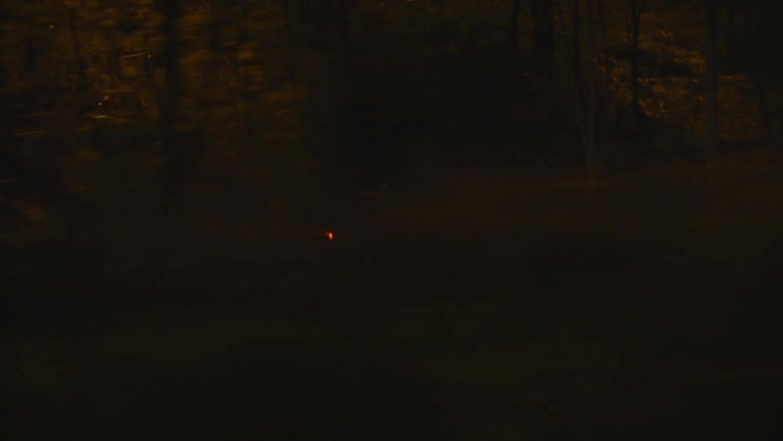 Person riding a bicycle in the woods at sunset