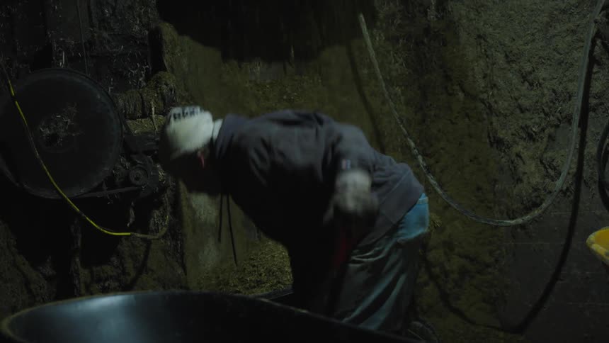 A man shovels material into a wheelbarrow and moves it