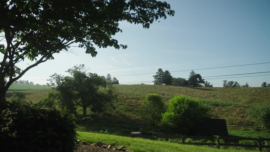 A deserted pasture field on a sunny day