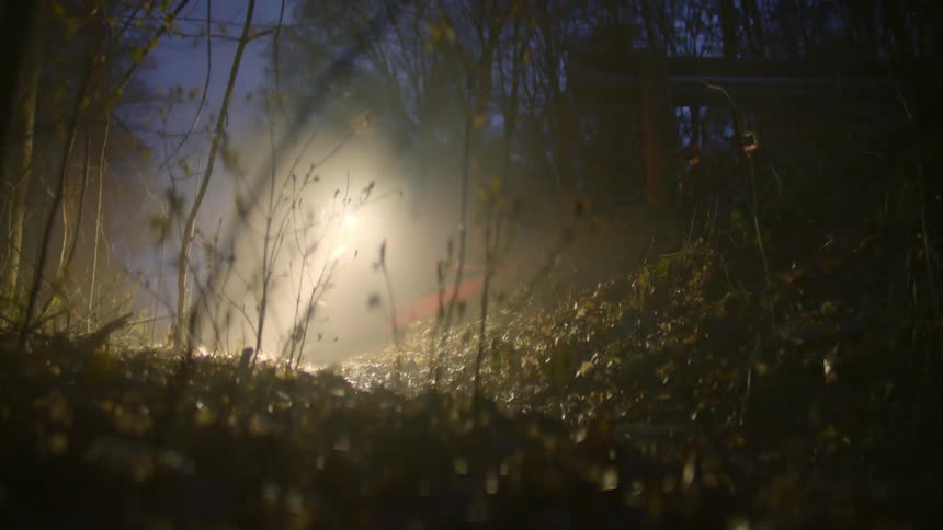 Motorcycle passing through the forest at night
