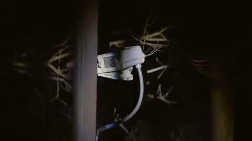 A white security camera on a pole with dark trees behind at night
