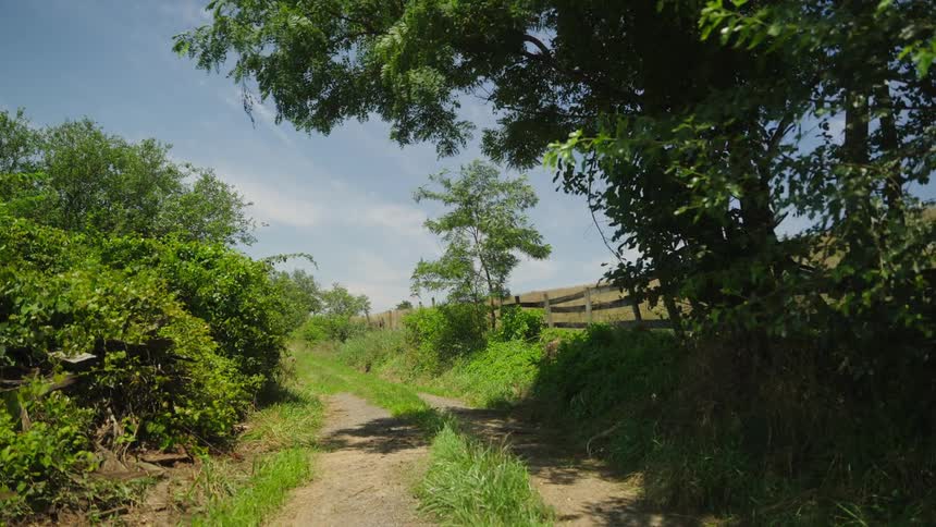 A dirt road across a meadow