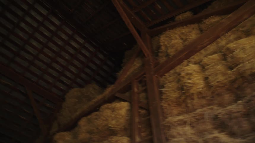 The barn is full of hay
