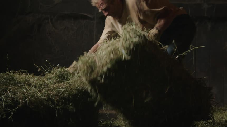 Man inside a barn taking blocks of grass and rearranging them inside