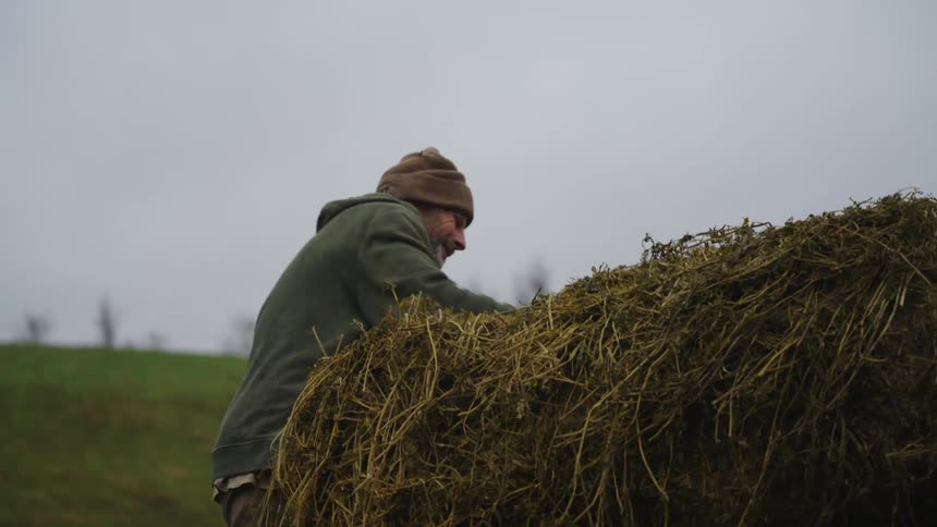 A man on a farm stacking hay into a vehicle