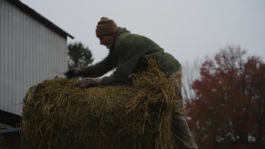 A man moves the hay around on the farm