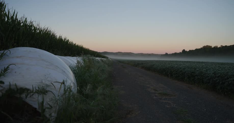 A dirt road in a meadow during a cloudy dawn