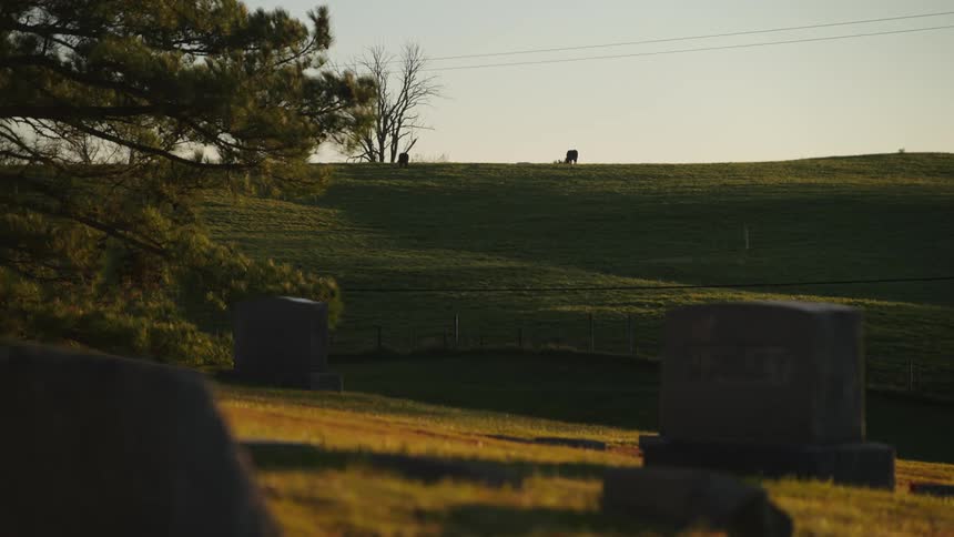 View of some tombstones in a cemetery on a morning