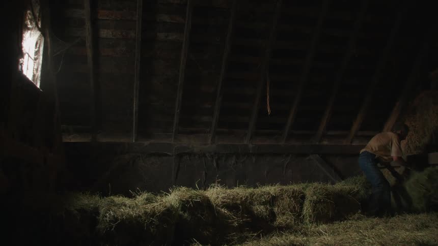 A man moves hay bales around in a barn