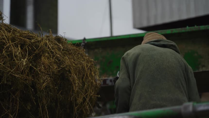 A man wrestles hay into a baling machine