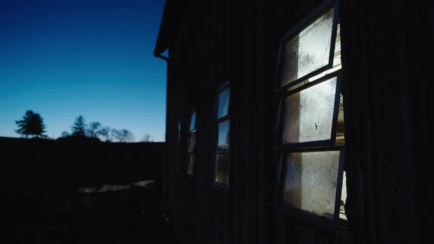 Cows walk past the shelter at sunset