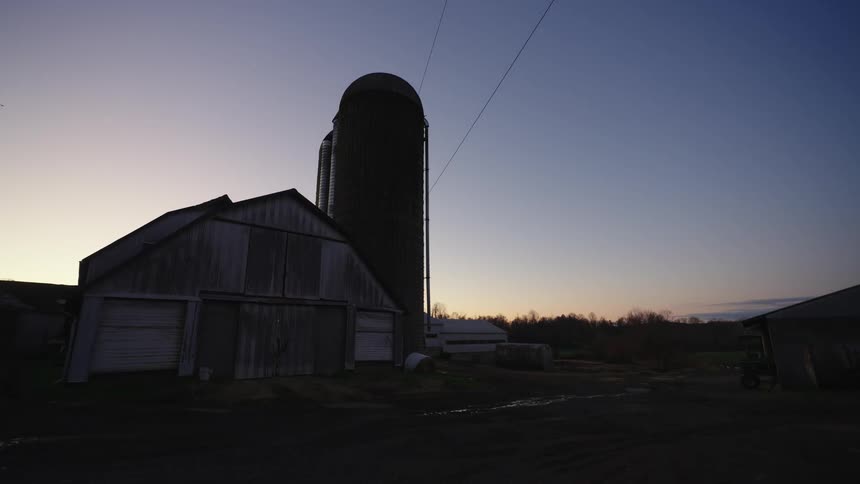 A flock of birds fly around a barn with silos in the morning