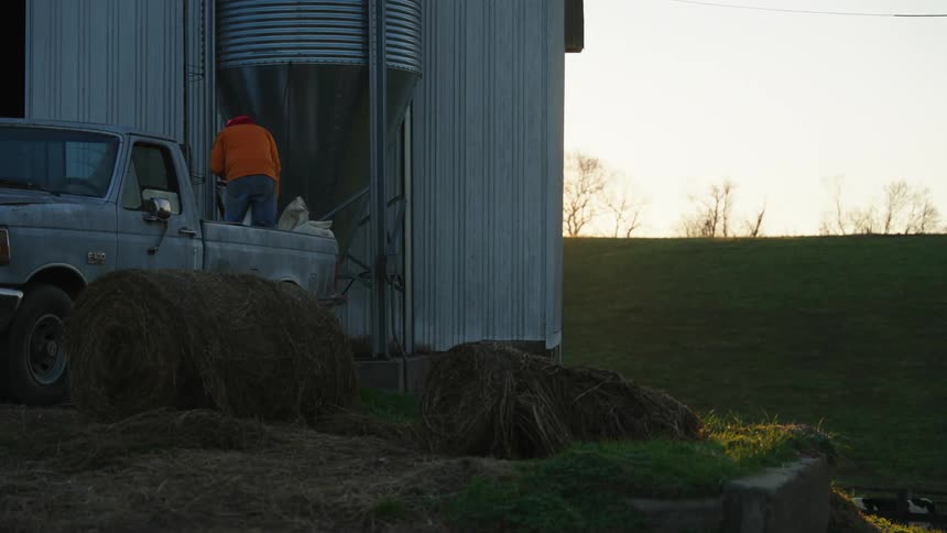 Man on top of a pickup truck moving bags on a farm