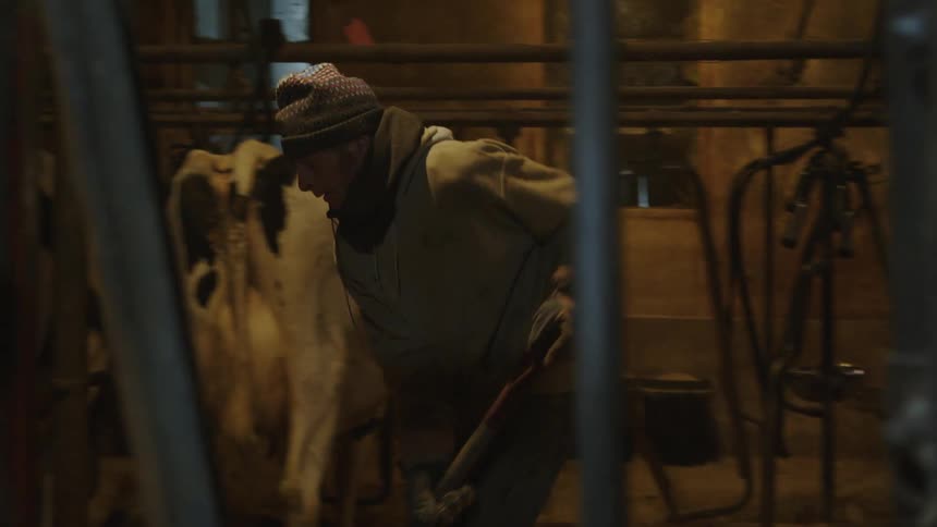 A clip of a man cleaning the cow stationary