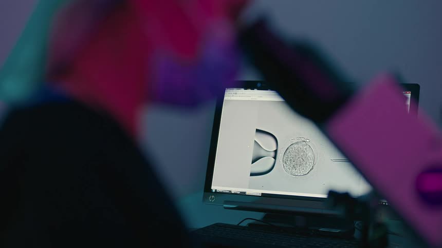 A scientist is looking at a cell with a microscope