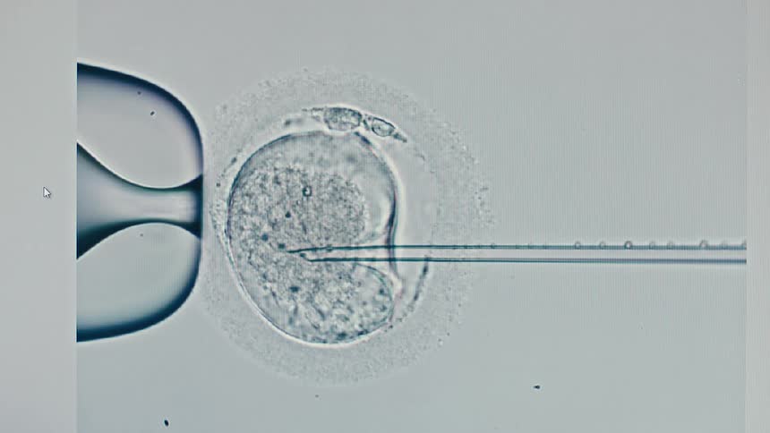 Extreme close up of a needle infiltrating a cell