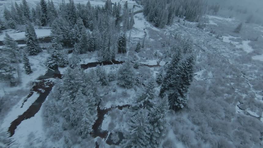 Streams wind between frost covered conifer trees near mountains during winter on a cloudy day