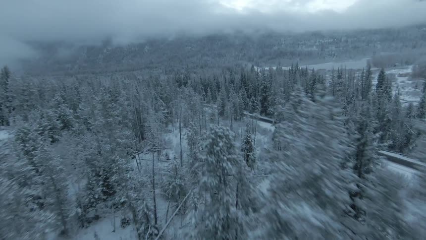 Aerial low drone fast flyover snow covered pines along a highway in a valley surrounded by cloud covered mountains