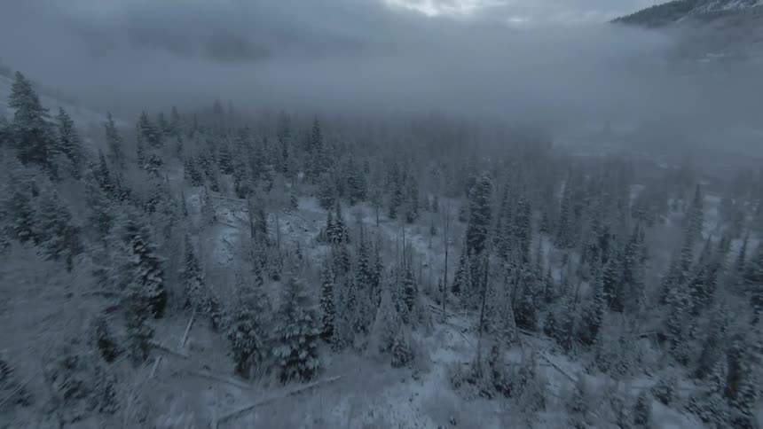 An aerial clip of the woods during winter