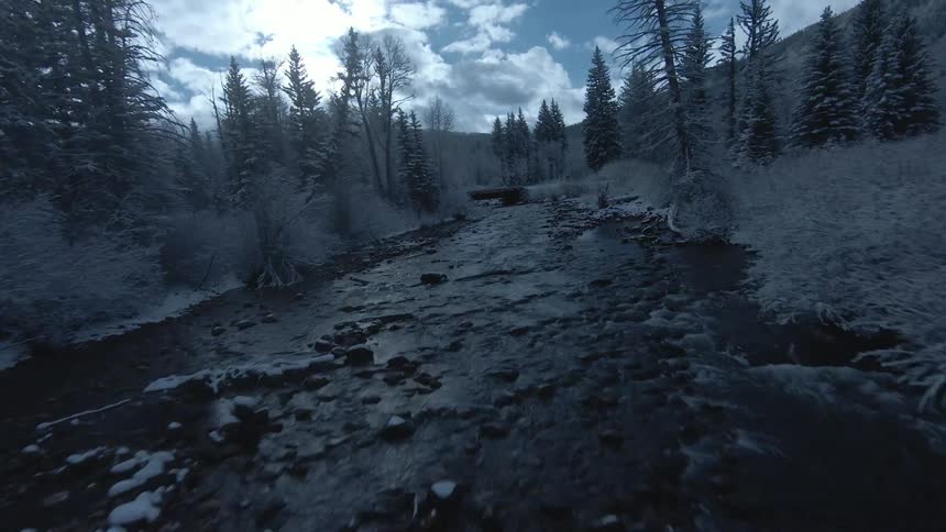 Two vehicles cross bridge over stream passing through conifer forest in winter