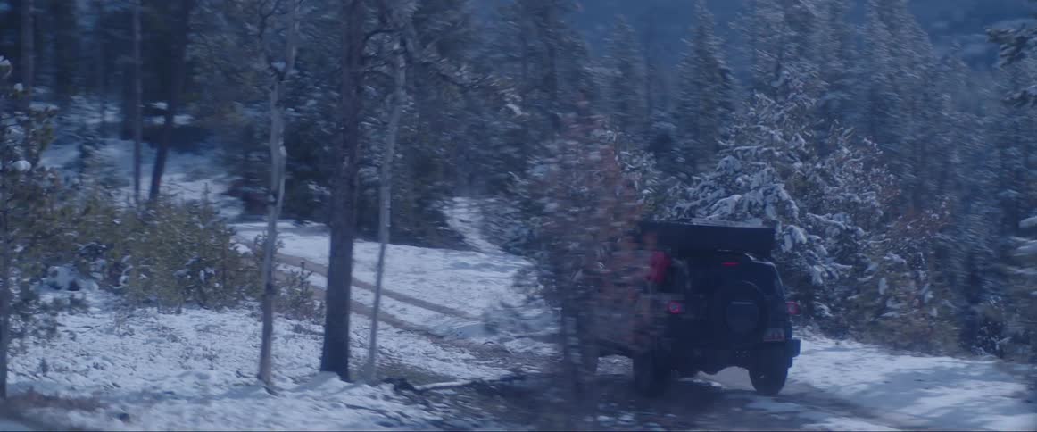 Two vehicles go off road in a forest