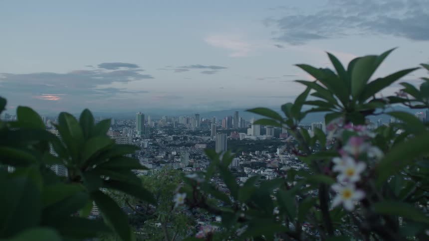 Panorama of a metropolis in a morning
