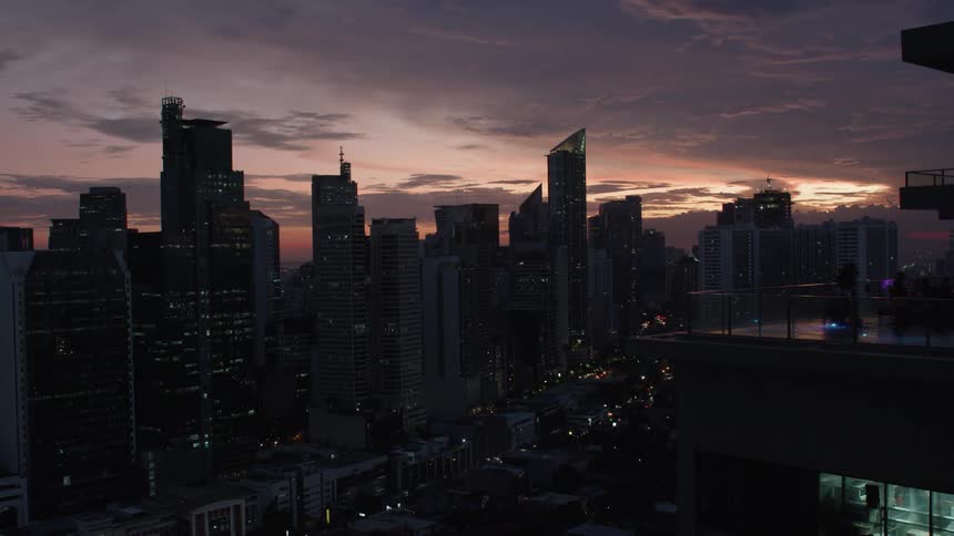Panorama of a metropolis with buildings and skyscrapers with a purple sky